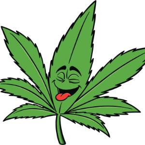 Should marijuana be illegal