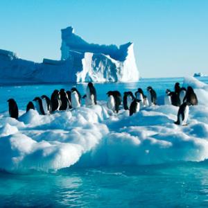 Vx POLL of the DAY (75): IS ANTARCTIC TOURISM OK?
