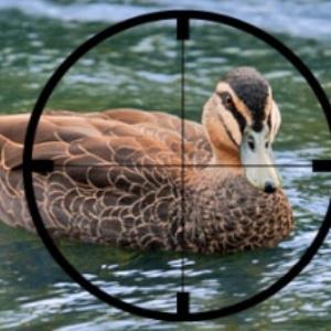 Vx POLL of the DAY (124): DUCKING ANIMAL ETHICS?