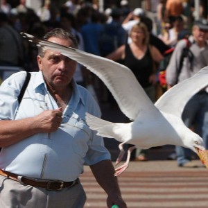 Should humans exist?