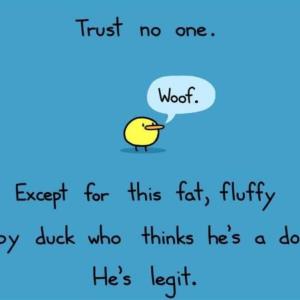 This statement is false!