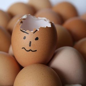 Where is my egg??