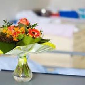 HEALTH PROFESSIONALS DEBATE - EVIDENCE-BASED PRACTICE (EBP) - FLOWER BANS IN THE NHS - ALL DISCIPLINES